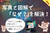 小学 自由自在 科学のなぜ？新図鑑①