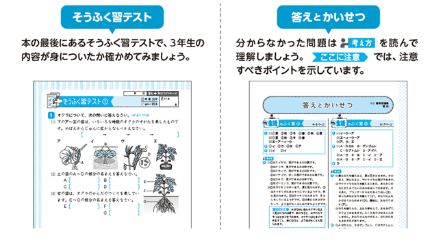 PR25_0313_002_s.png