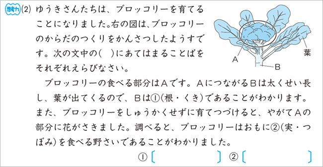 PR25_0313_007_s.png