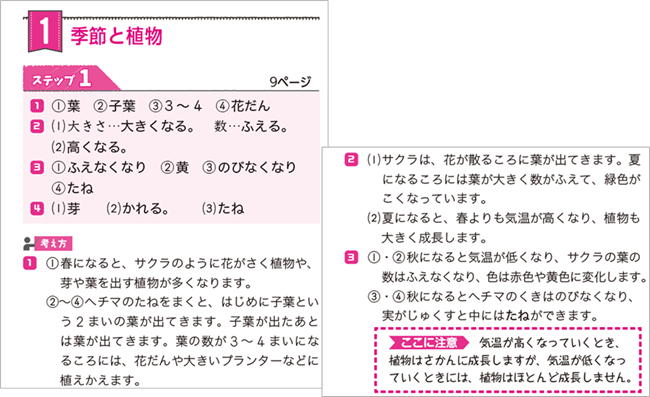PR25_0313_010_s.png