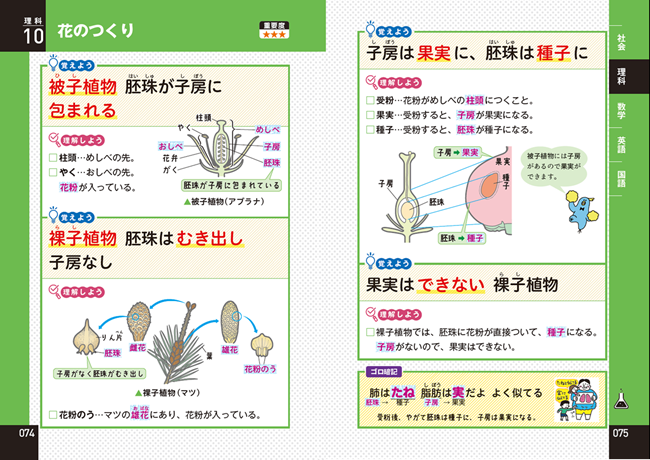 PR25_0319_002_s.png