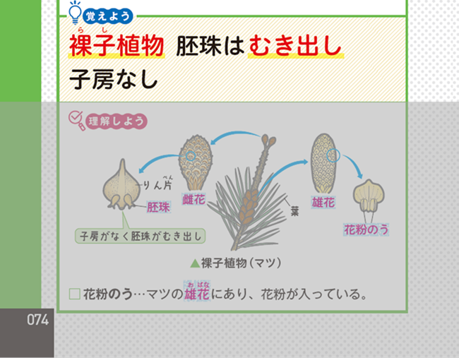 PR25_0319_003_s.png