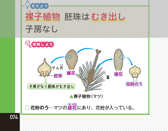 PR25_0319_004_s.png