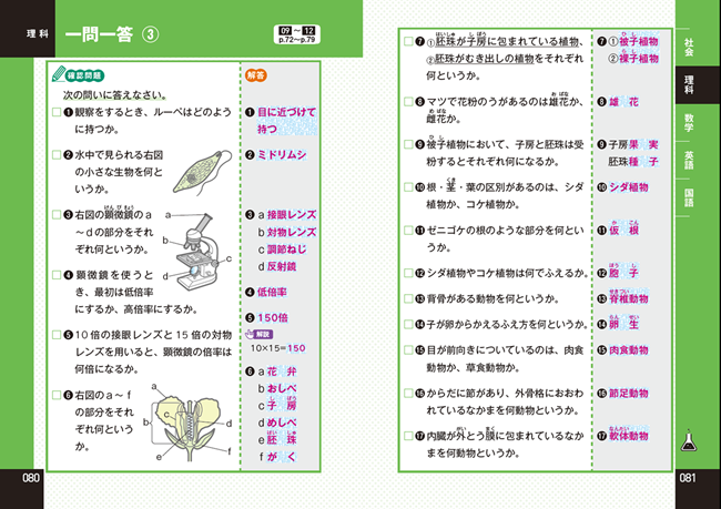 PR25_0319_007_s.png