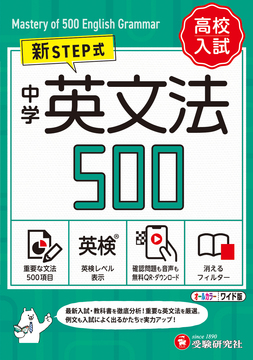 中学 英文法500【ワイド版】