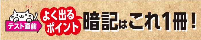 テスト直前 手軽に暗記はこれ一冊