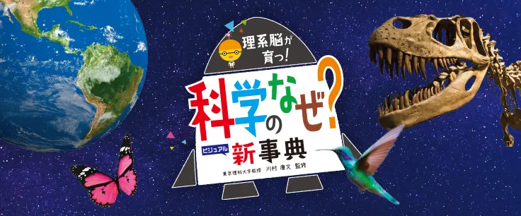 科学のなぜ？新事典