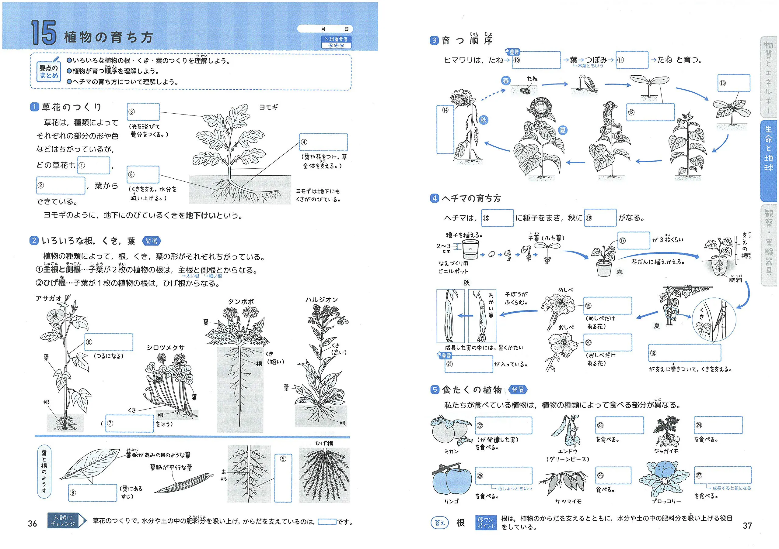 小学まとめノート図解理科 まとめノート 小学生の方 馬のマークの増進堂 受験研究社