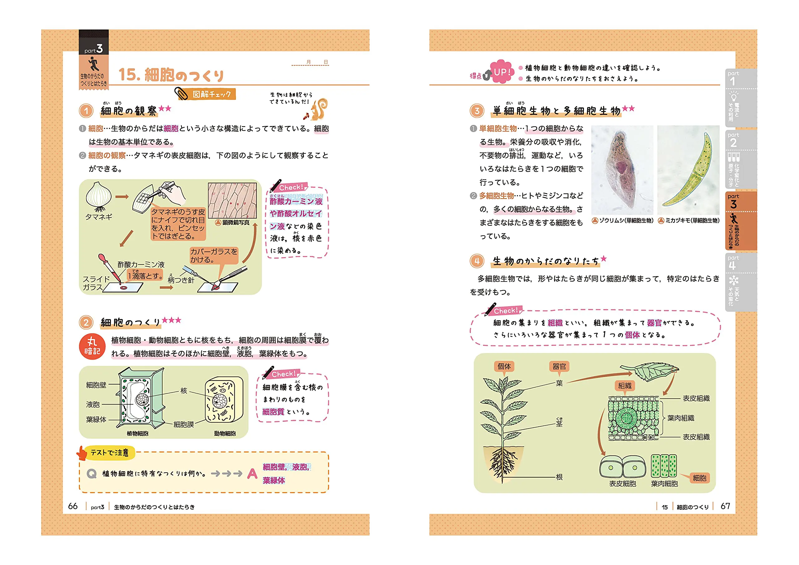 中2 まとめ上手 理科 まとめ上手 中学生の方 馬のマークの増進堂 受験研究社